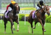 Totality gets up on the inside to tip out Touch Of Gold in the Group 3 Three Rings Trophy on Sunday.<br>Photo by Singapore Turf Club